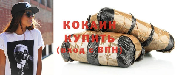 гидра Бородино