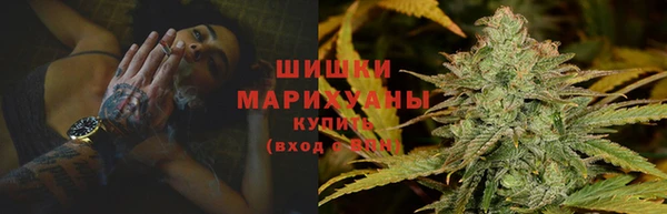 гидра Бородино