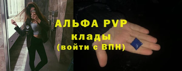 гидра Бородино