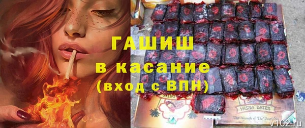 гидра Бородино