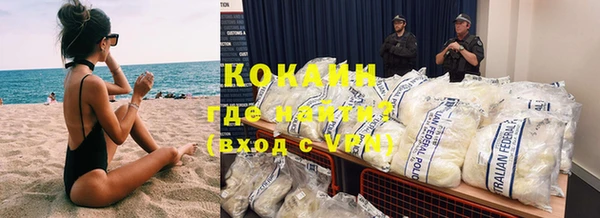 гидра Бородино