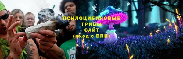 гидра Бородино