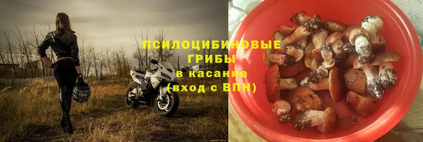 гидра Бородино