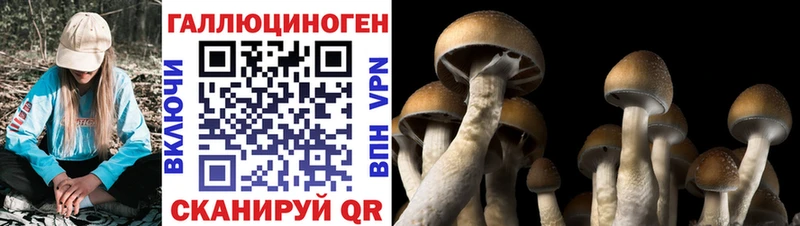 Галлюциногенные грибы MAGIC MUSHROOMS  Новозыбков 